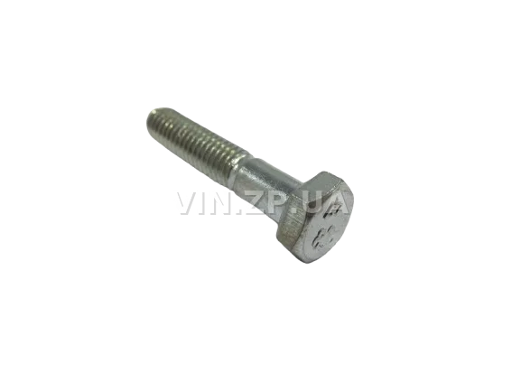 Болт успокоителя цепи ВАЗ 210-2107, 2121, 21213 МЕТИЗ М6 х 1.0 x 30, 1шт 2